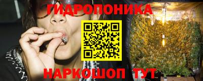 jwh Рузаевка